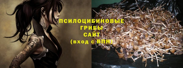дживик Бутурлиновка