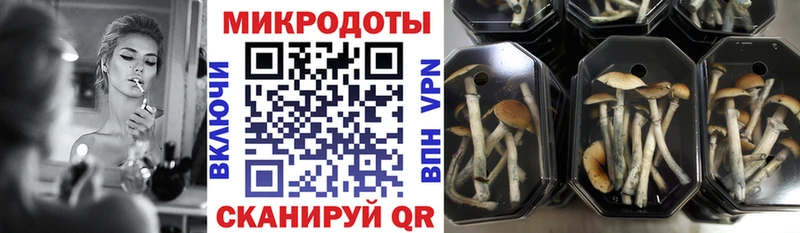Галлюциногенные грибы MAGIC MUSHROOMS  Кунгур 