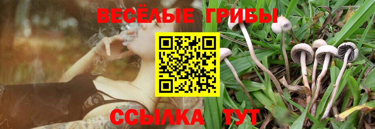 Кунгур  Галлюциногенные грибы GOLDEN TEACHER  Вход с VPN 