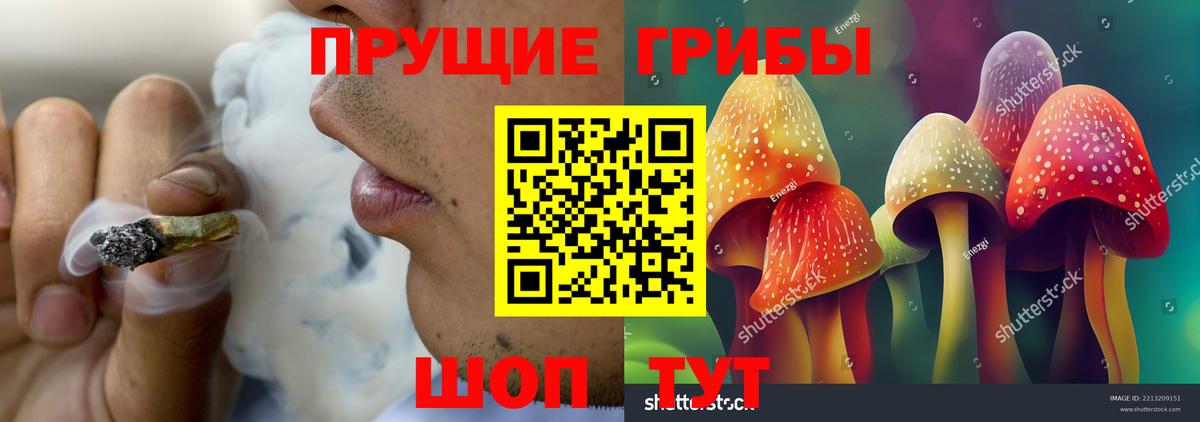 Псилоцибиновые грибы MAGIC MUSHROOMS Кунгур